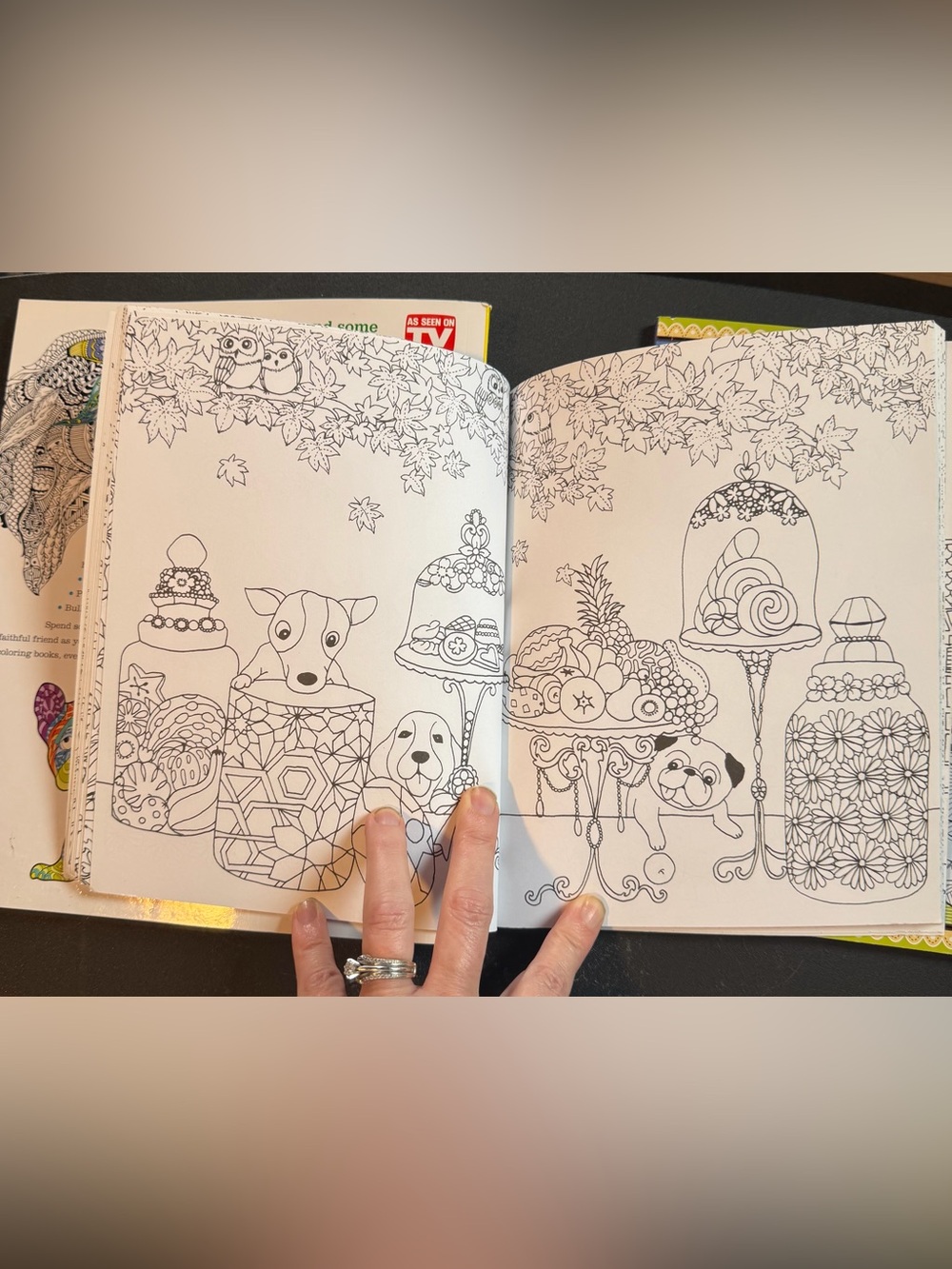 Delightful Dogs Coloring Book Set - Multicolor - Picture 4 of 10